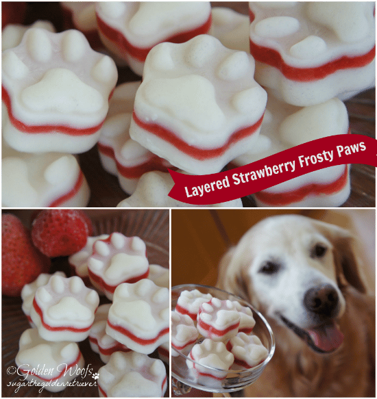 Layered Strawberry Frosty Paws: Sugar The Golden Retriever in 2020 ...