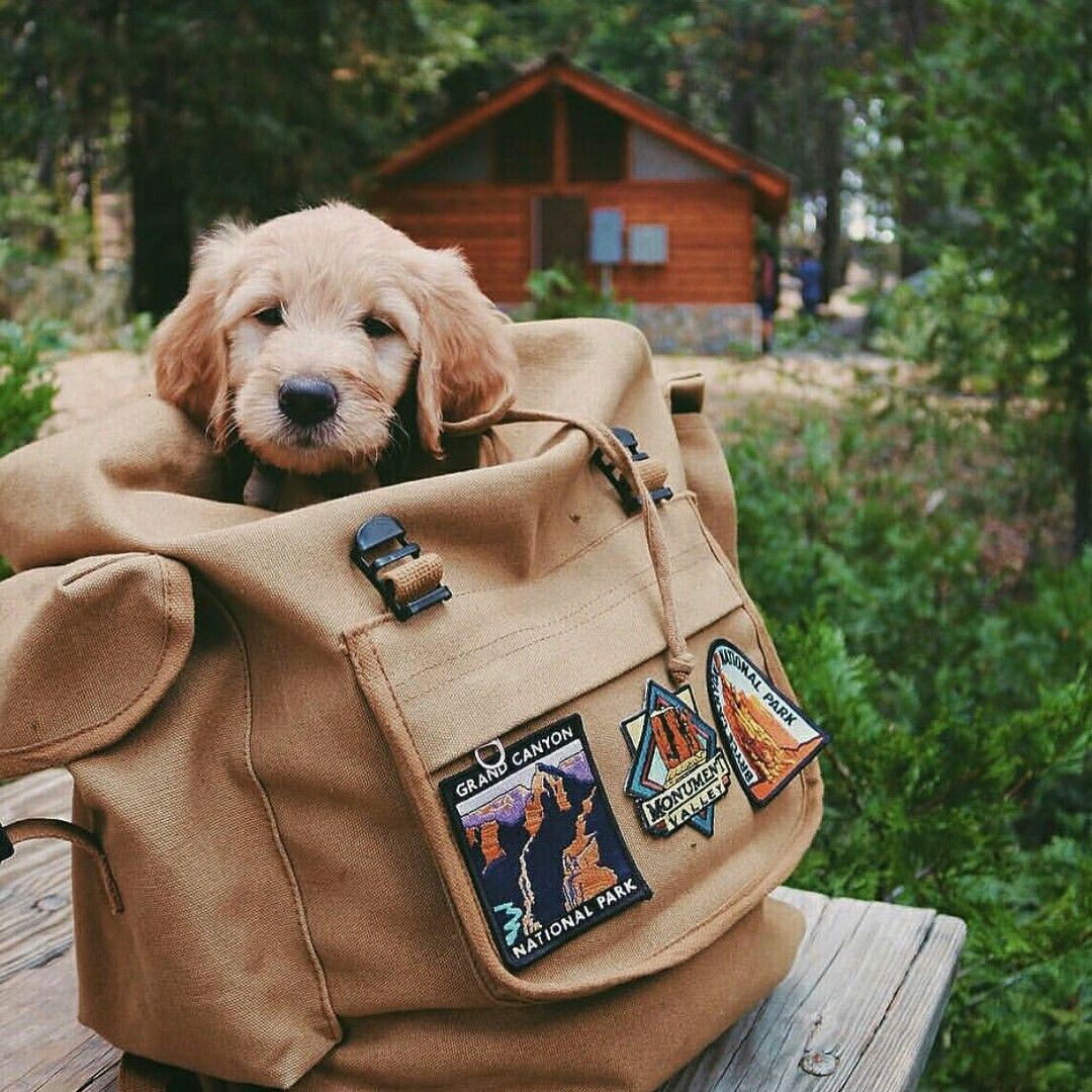 Only pack the essentials...