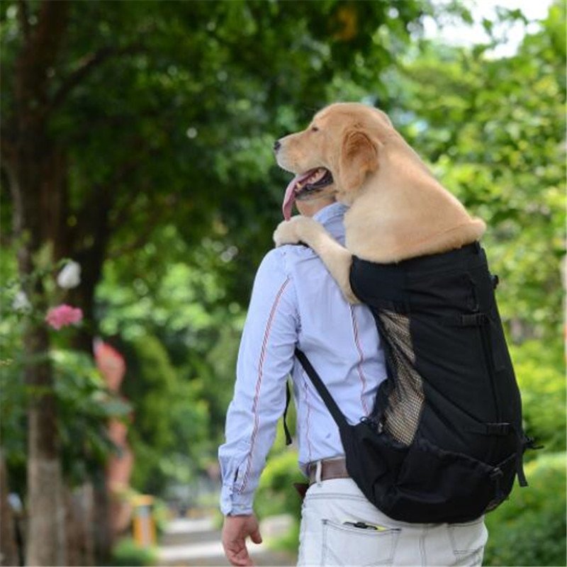 Pet Carrier Bag For Large Dog French Bulldog Labrador ...