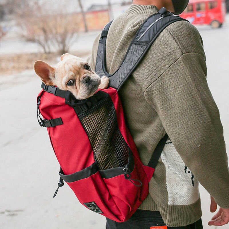 Pet Dog Carrier Bag for Large Dog Golden Retriever ...