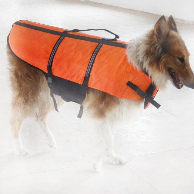 Pet Dog Safe Fido Float Refective Vest for Safety golden ...