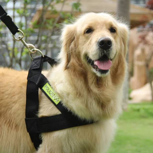 Promo Dog harness besar tebal kuat leash anjing police ...