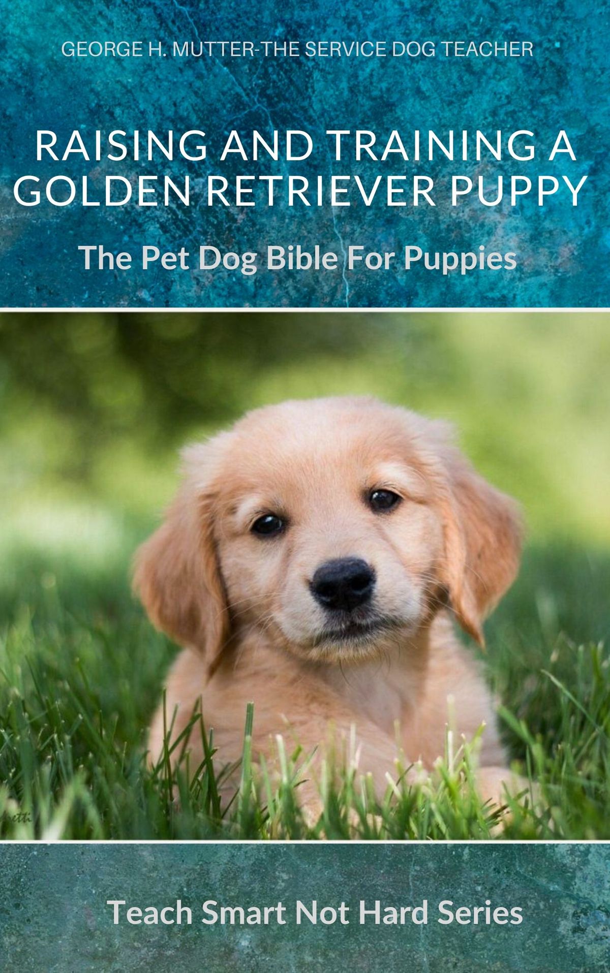 Raising And Training A Golden Retriever Puppy eBook by ...