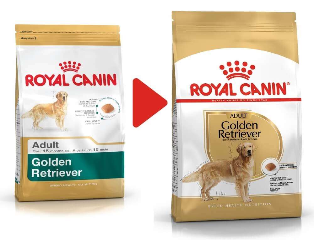 Royal Canin Breed Health Nutrition Golden Retriever Adult 3 kg Dry dog food
