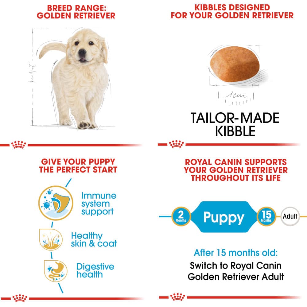 Royal Canin Golden Retriever Puppy Dry Dog