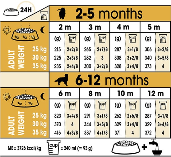 Royal Canin Golden Retriver Junior Breed Health Nutrition Puppy Food