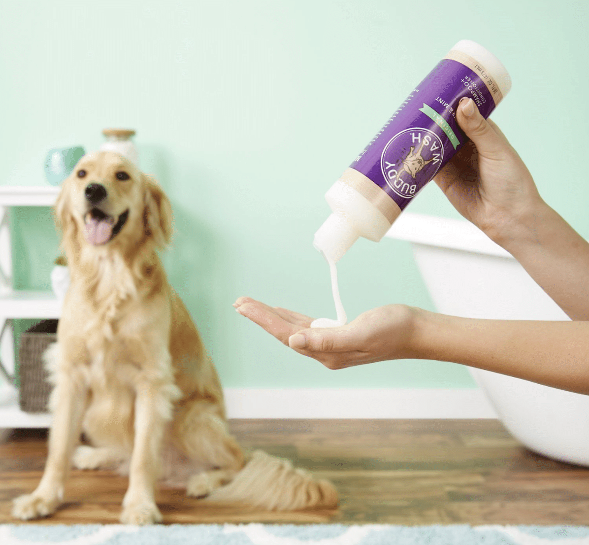 The 5 Best Dog Shampoos and Conditioners for Golden ...