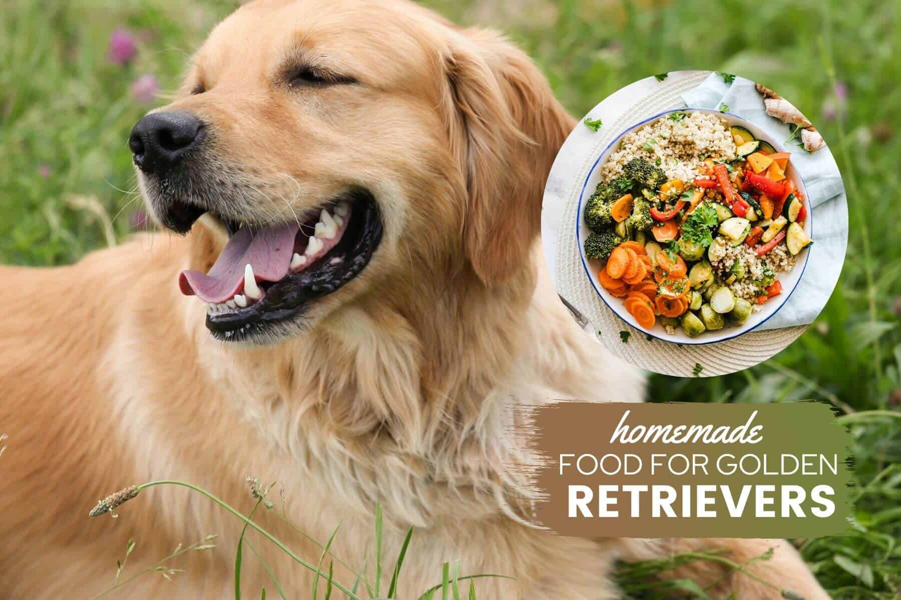 The Ultimate Golden Retriever Homemade Dog Food Guide ...