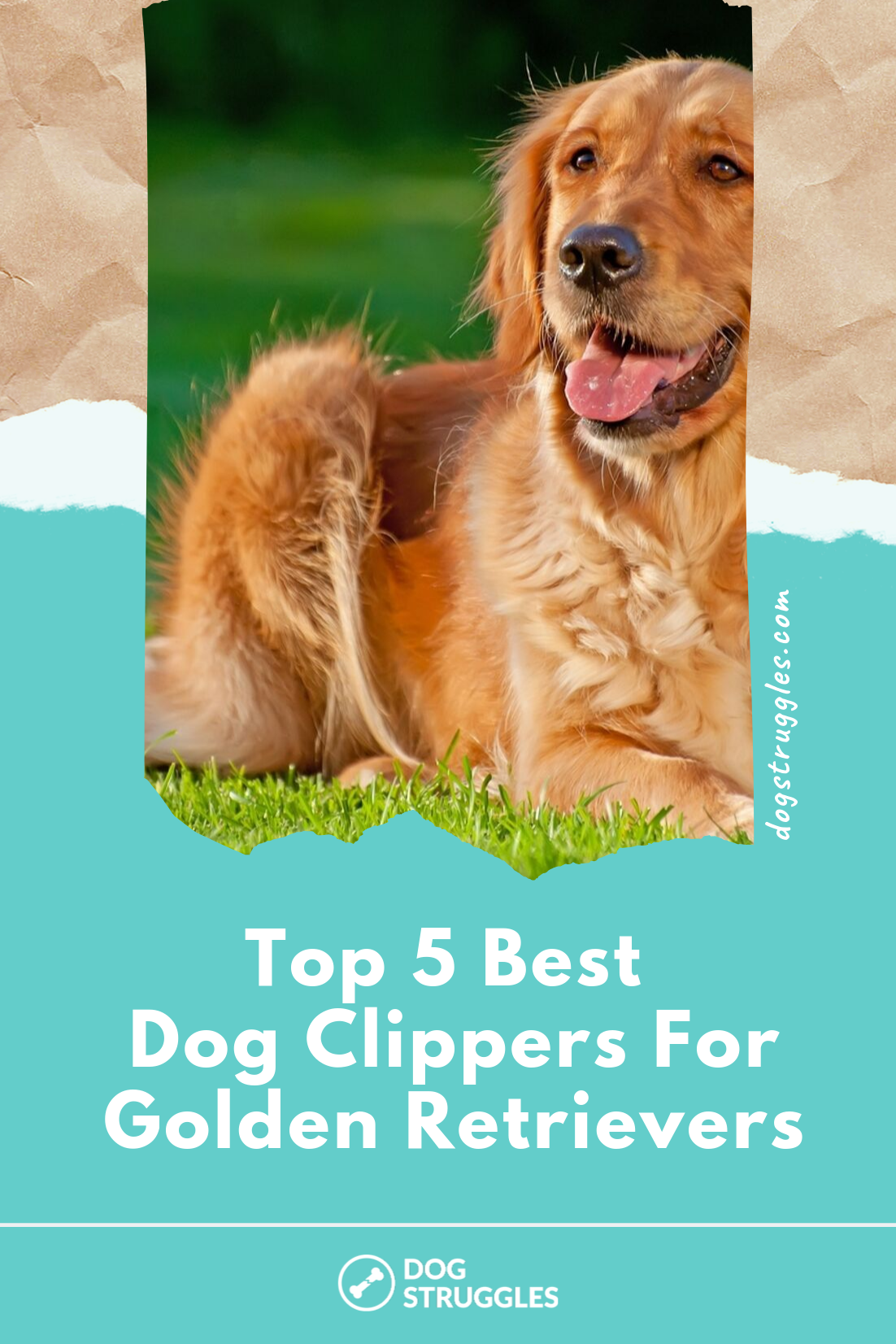 Top 5 Best Dog Clippers For Golden Retrievers