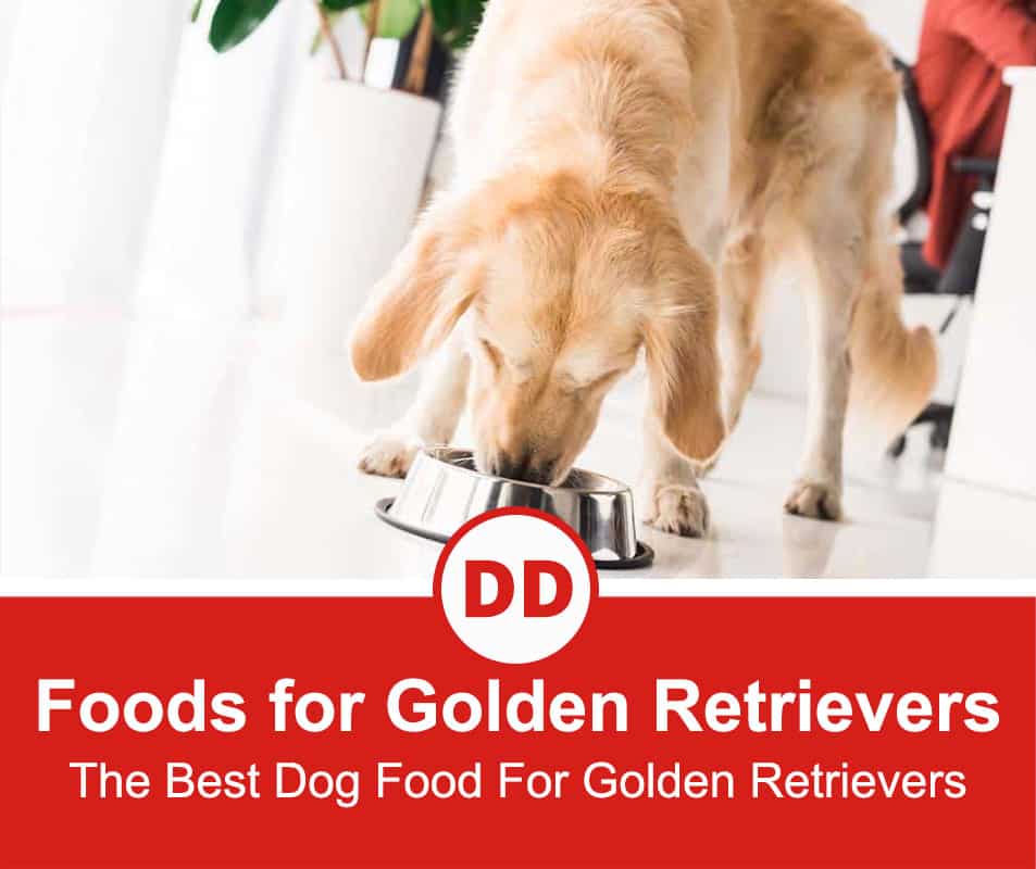 Top 5 Best Dog Foods For Golden Retrievers (2022 Review)