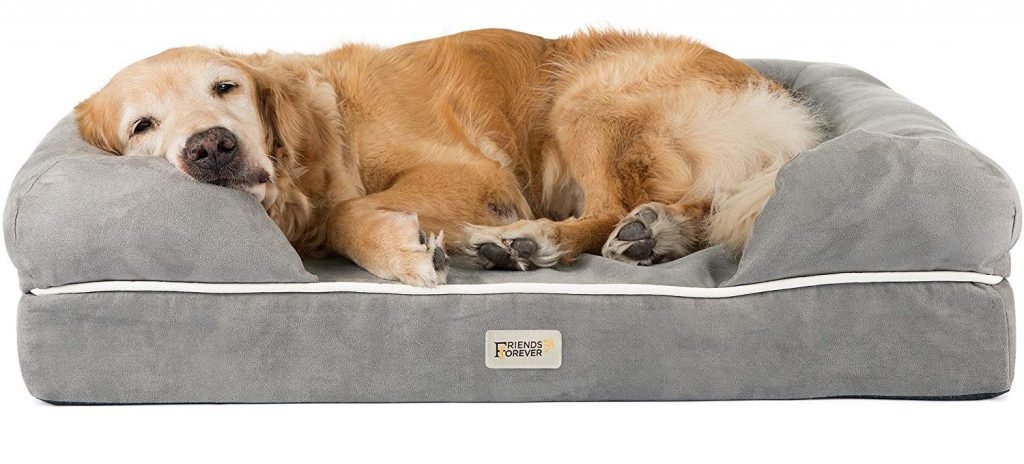 Top 6 Golden Retriever Dog Beds