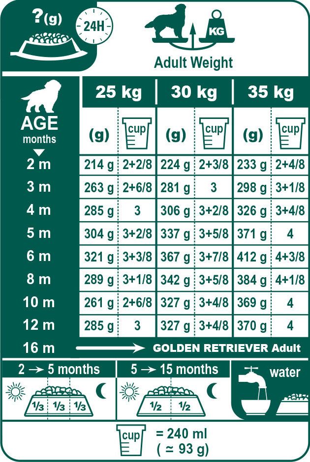 Updated Learning: Golden Retriever Puppy Feeding Chart