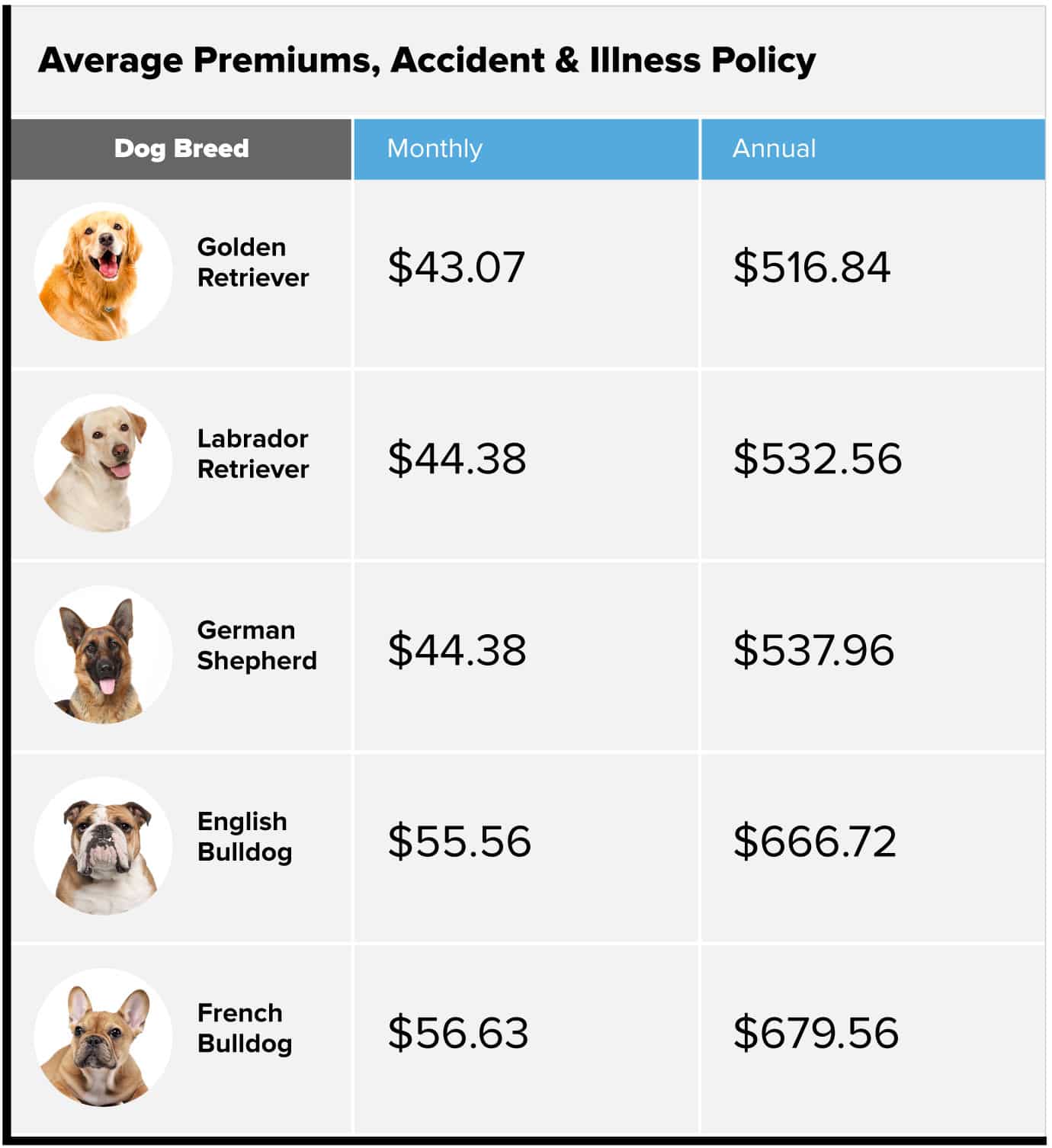 What Pet Insurance Costs