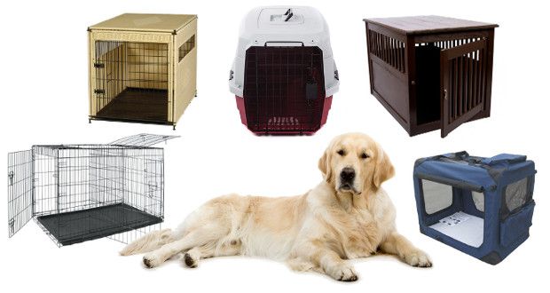 What Size Dog Crate Do You Need? Which Type Is Best?