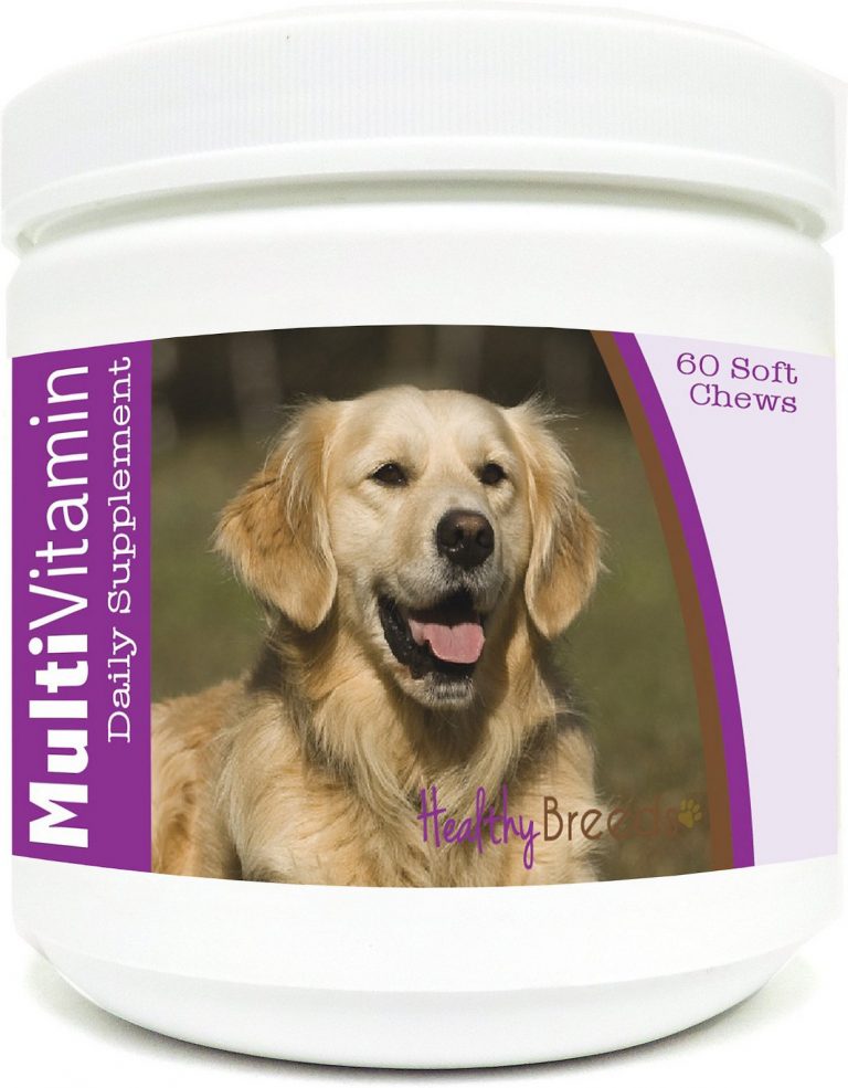What Vitamins Should I Give My Golden Retriever